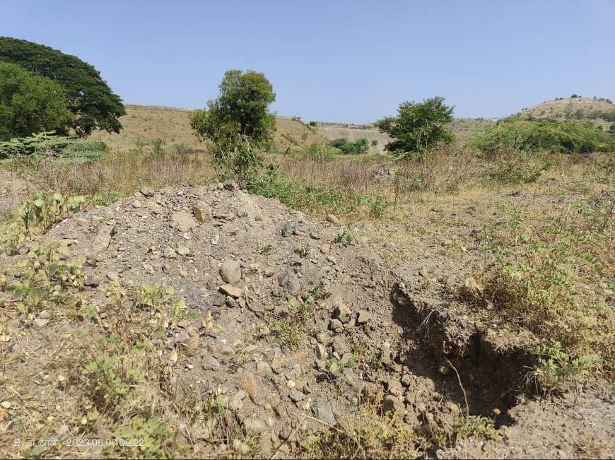 बिंदुसरा परिसरात लावलेले एकही बांबूचे झाड अस्तित्वात नसल्याने ;वनीकरण विभागाने चौकशीचे आदेश दिले