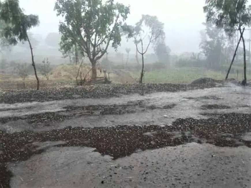 शेतकऱ्यांनो पहा कोणत्या भागात पडणार पाऊस, आणि कुठे कोणता अलर्ट?